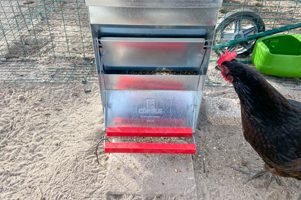 Mangeoire automatique pour poules
